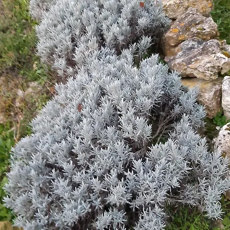 Ty'galis Vendégház 4*