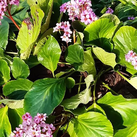 Ty'galis 4* Lectoure