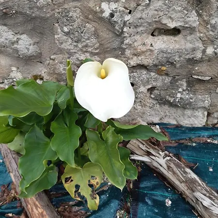 Vendégház Ty'galis Lectoure