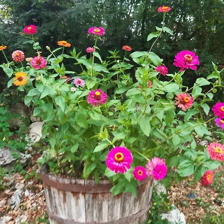 Ty'galis 4* Lectoure