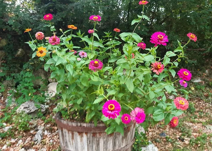 Ty'galis 4* Lectoure